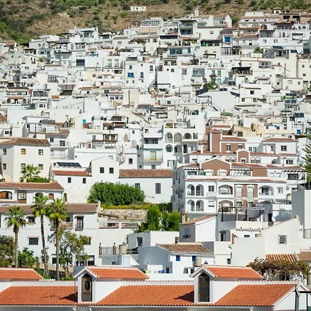 Cruz Del Monte *